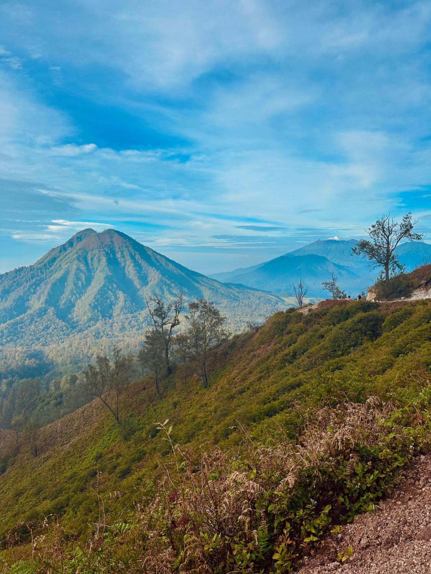 Ijen Backpacker Vandrehjem Banyuwangi  Eksteriør billede